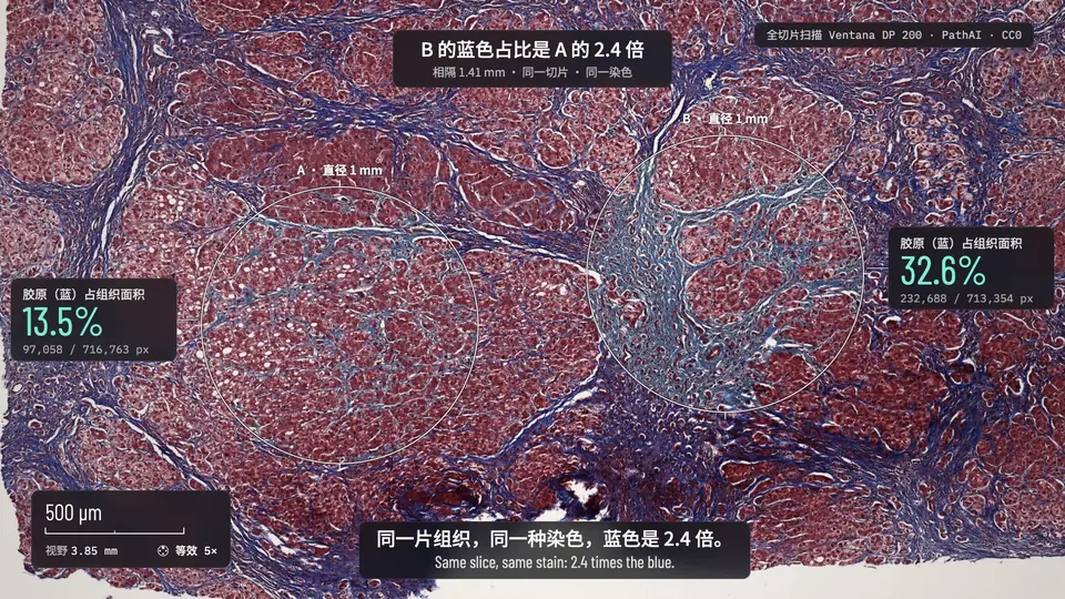 Historia al microscopio